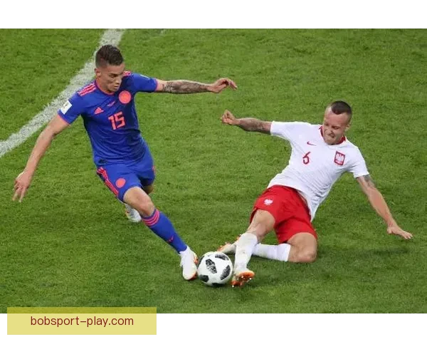 世界杯竞猜安全平台助力用户稳定预测赛事胜负保障数据安全